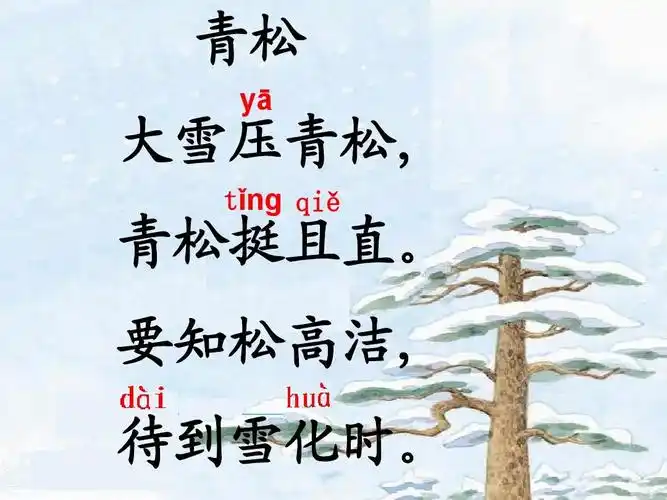 (最新苏教版二年级语文上册)青松ppt