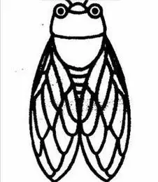 大全蝉的简笔画怎么画蝉画法一起来学蝉简笔画知了蝉简笔画兴趣爱好