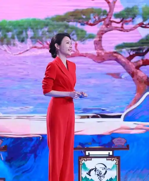 原创2024中国诗词大会开播龙洋主持终获认可主持3届春晚完成了自我