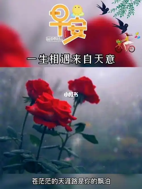 早安一生相遇来自天意