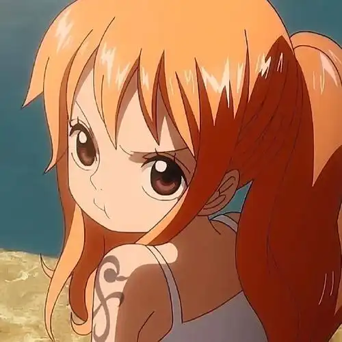 海贼王娜美头像 - 堆糖,美图壁纸兴趣社区