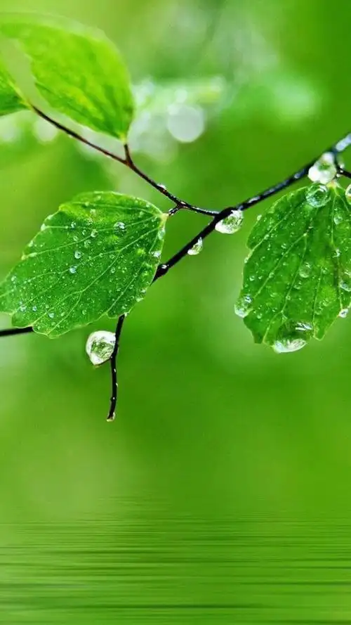 护眼- 堆糖,美图壁纸兴趣社区