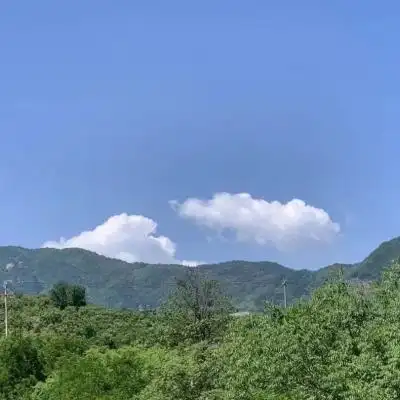 2022最新风景静物头像