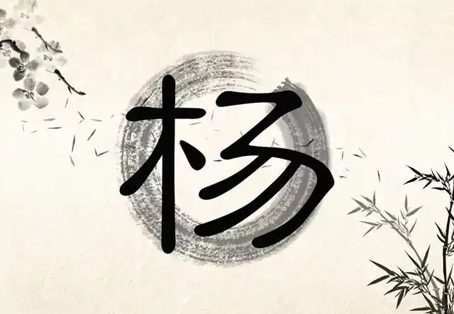 姓李的说木子李没毛病姓杨的说木易杨大错特错