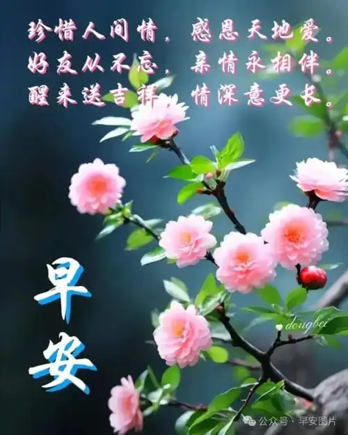 2024年1月21日最新早安动态问候图片大全今天早安祝福语温馨问候