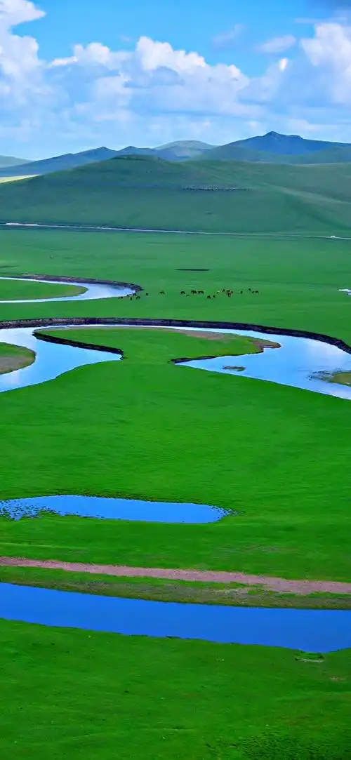 呼伦贝尔大草原
