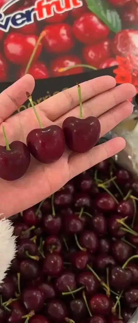 车厘子自由 今日77黑车厘子90上新// 海浪982勾5斤装 - 抖音