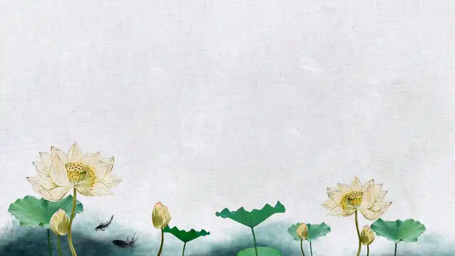荷花荷叶中国风淡雅灰麻布布纹背景图片(3张),ppt图片 - 51ppt模板网