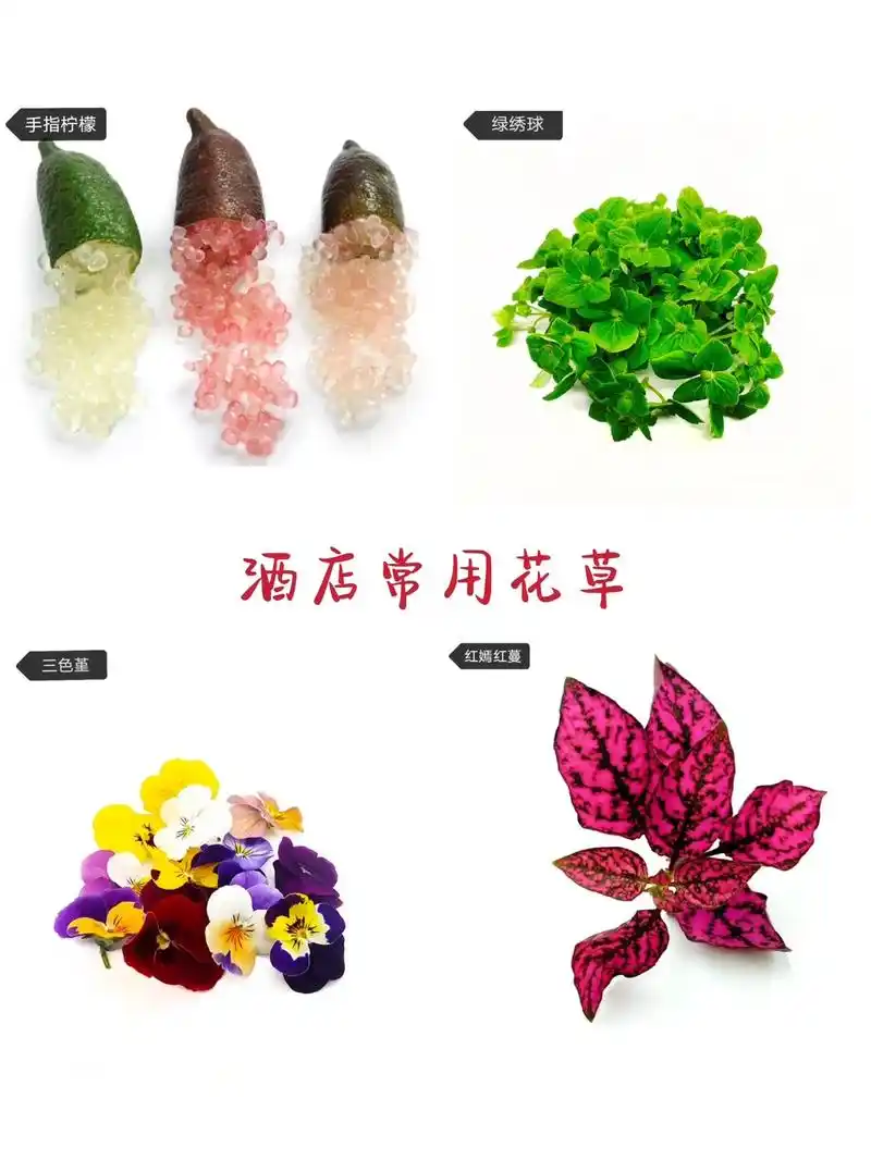 冷菜 #摆盘技巧 #盘饰 #抖音美食推荐官 #花草 酒店常 - 抖音