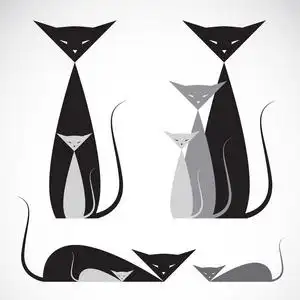 关于猫咪的图图片