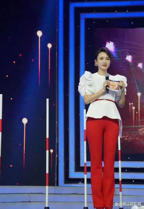 2013年元旦,张蕾与朱军,董卿,季小军一同担任央视跨年晚会的主持人,这