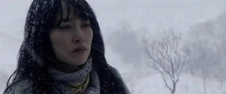 深度剖析村上春树挪威的森林最后直子为什么还是选择自杀