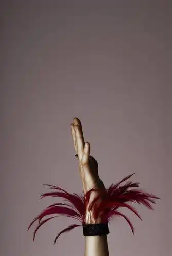 特写,时尚,表演,戒指,托,摄影,手镯,部分,柔和,举起,举手,举着,向上举