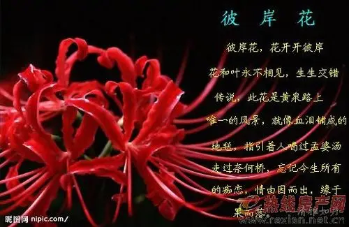 黄泉路,忘川河,三生石,望乡台,孟婆汤,奈何桥!