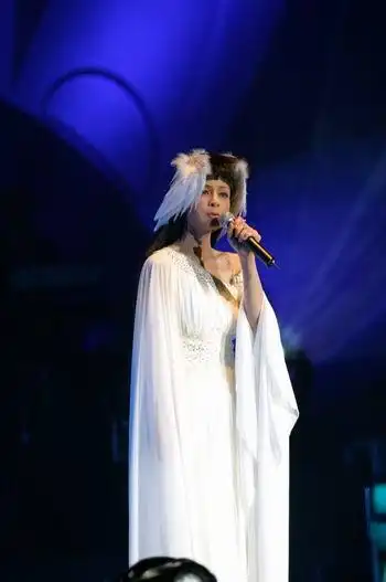 高胜美北京演唱会真情真义"美不胜收"(组图)