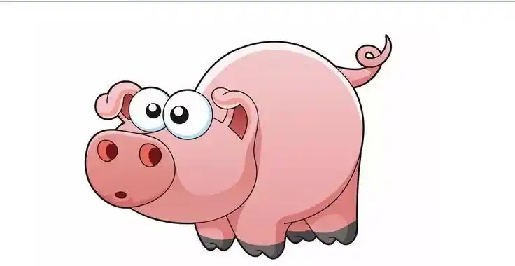 猪在来凤实在是太可怜了