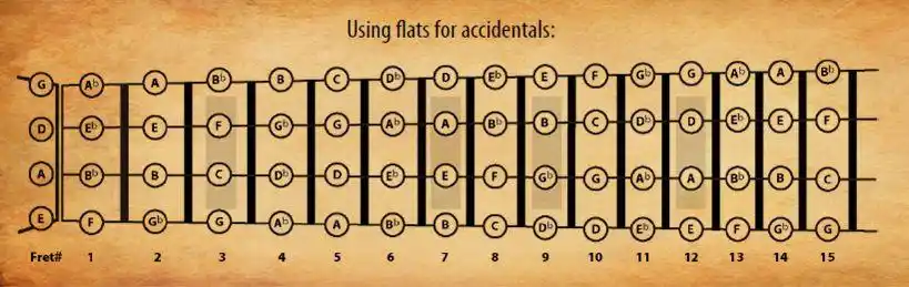 谁有贝斯四根线空弦的标准音请发给我一下 谢谢 875664954@qq.com