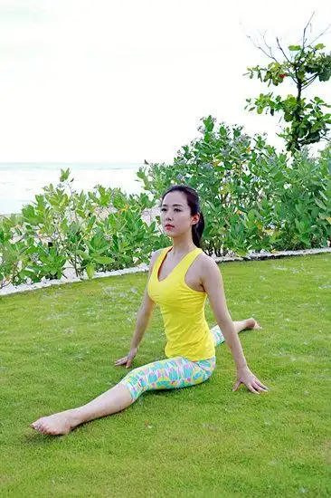 瑜伽日颜丹晨微博晒照 网友:美貌与气质并存