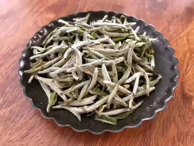 福鼎白茶之白毫银针为什么这么贵