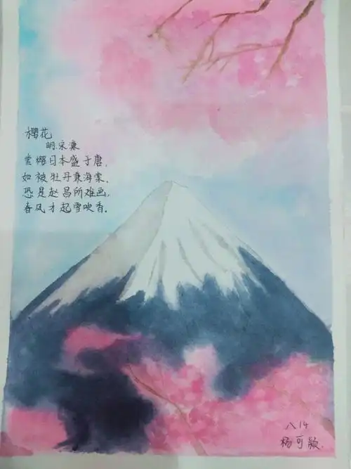 杨可颖                          樱花