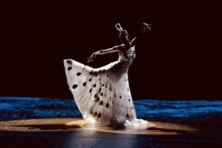 首发〕杨丽萍舞台艺术之美