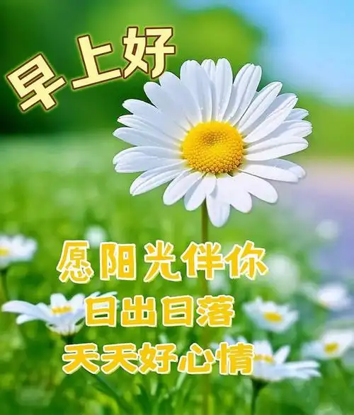 早安漂亮图片祝福语|快乐|清晨|大海|幸福|早上好_网易订阅