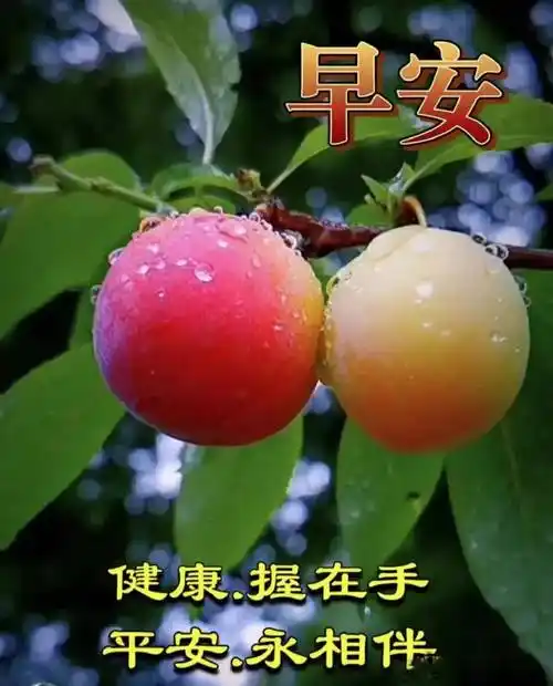 9张最新创意漂亮的早上好祝福图片带字温馨 2023唯美夏天早安问候祝福