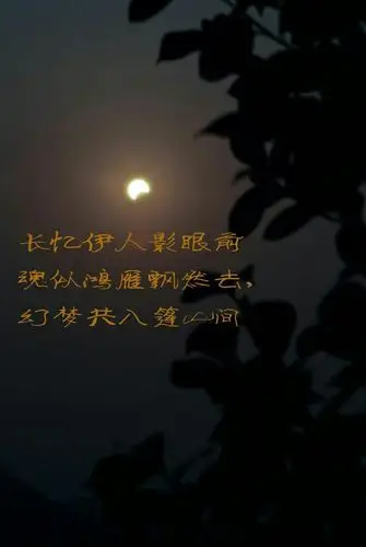 长思恋 梦绕魂牵 望断南飞雁 伊人去不复见 相亲相爱知何年 夜深人静