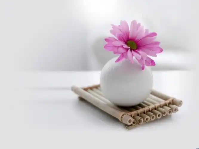 清新淡雅背景图片课件.ppt_第1页