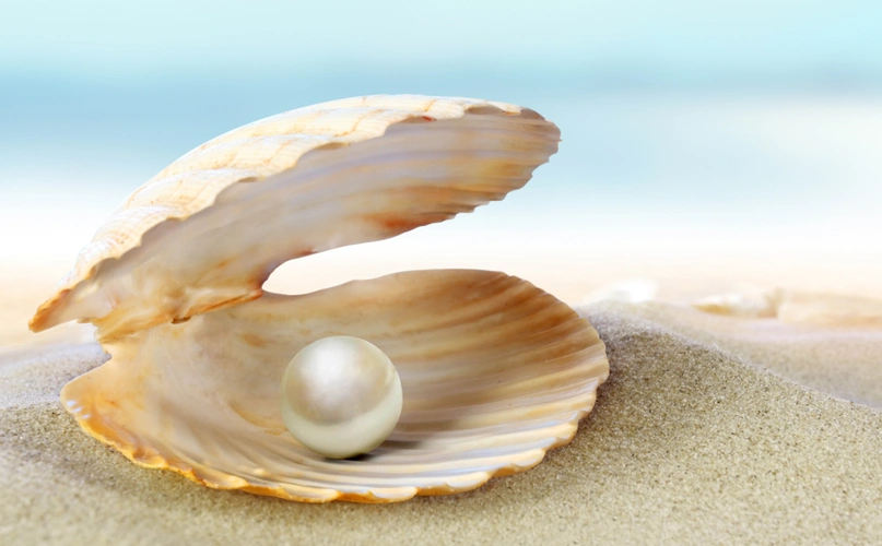 珍珠蚌肚子里的珍珠是怎么形成的