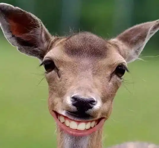 你发现长安cs75的咧嘴笑了吗?