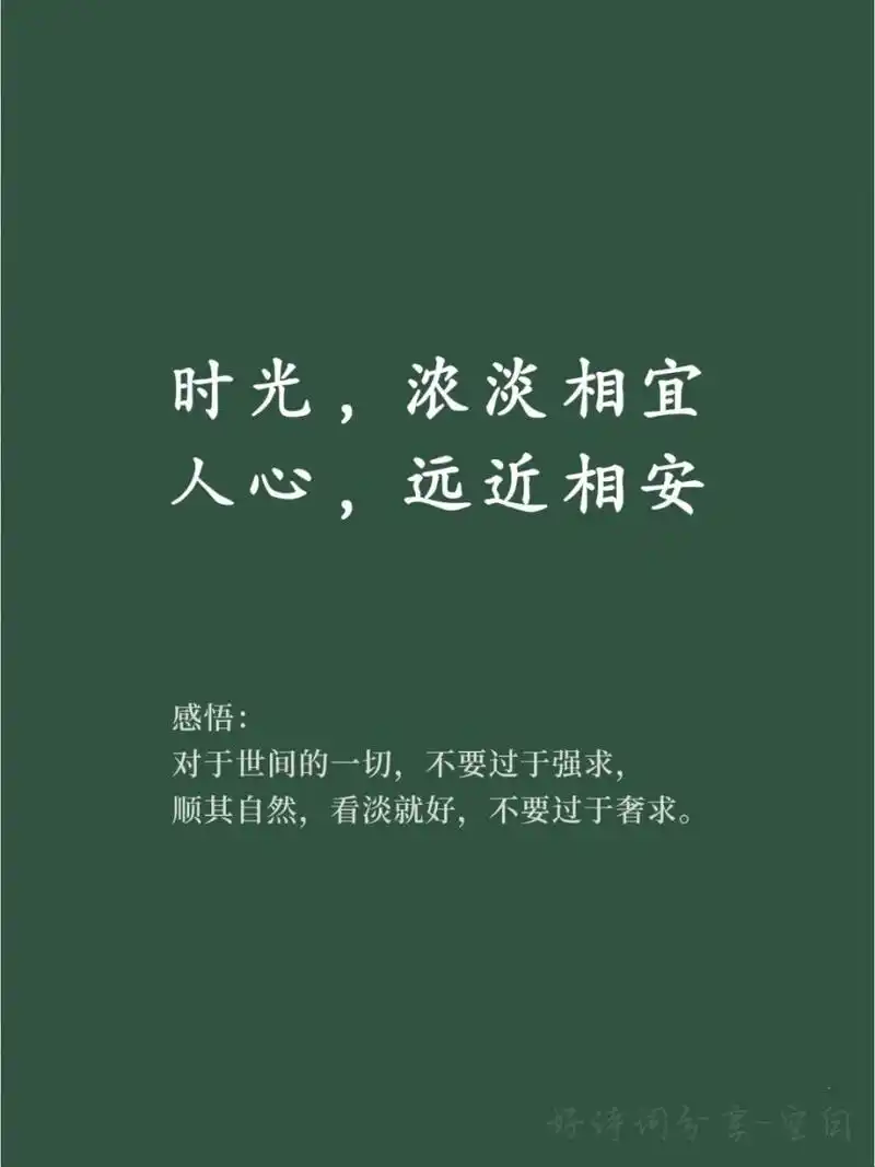 91让人瞬间释然的好词好句 93 感悟: 对于世间的一切,不要过于