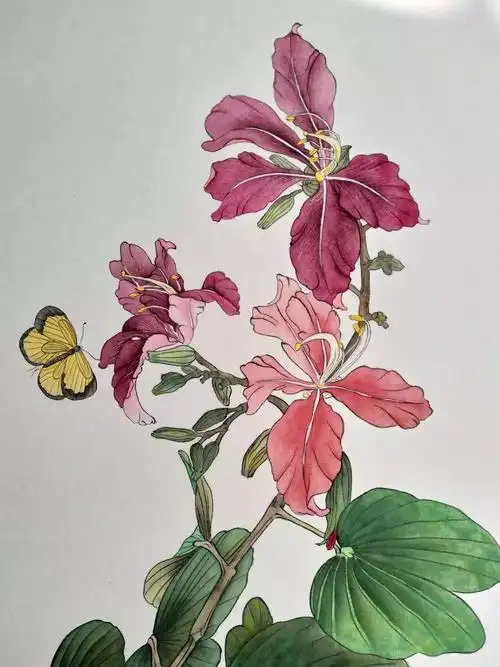工笔《紫荆花》绘画教程