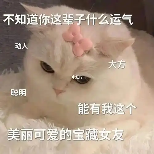 女朋友撒娇的样纸