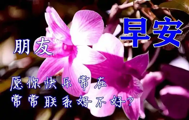 10月15日早上好动态表情图片大全,早晨好动图美图大全_问候