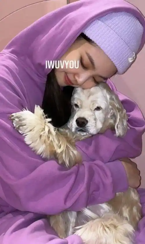 粉墨jennie抱狗自拍,一秒换脸甜妹变大佬妮,英文发音流利获盛赞_妮妮