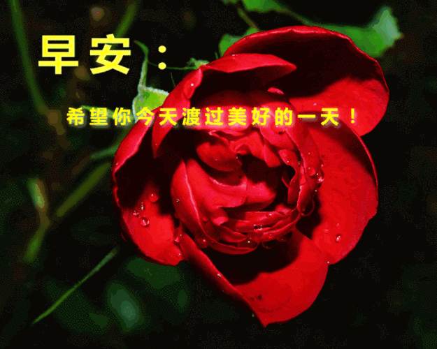 最新微信早安动态表情特别漂亮的早上好图片