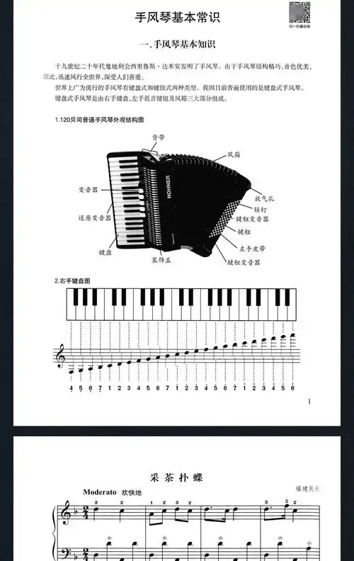 自学教程书中老年人手风琴书籍琴谱曲谱视频教学带指法五线谱儿童0基