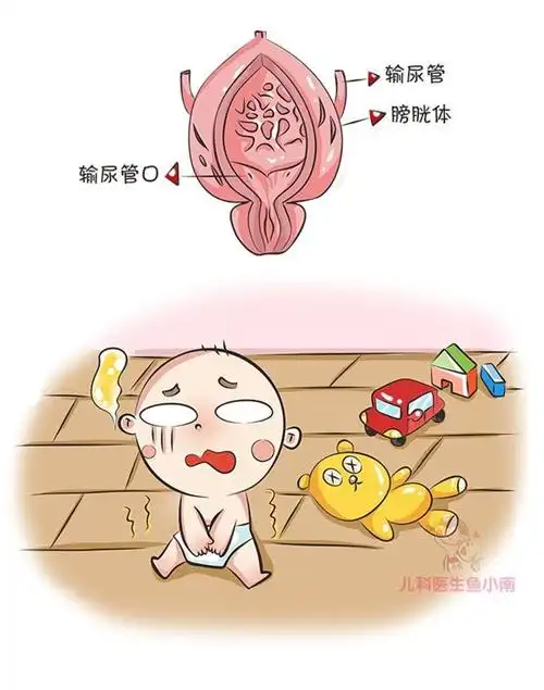 宝宝如厕训练何时开始,怎样顺利脱纸尿裤?别错过夏日训练好时机