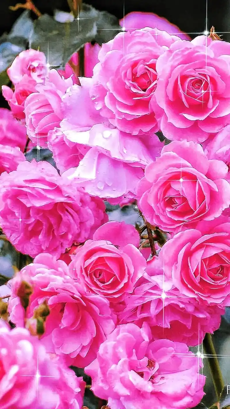 1080_1920竖版 竖屏