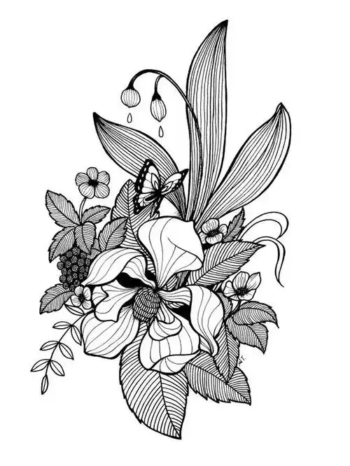 顶级线描花卉练完这一篇你的手从此再也不是爪