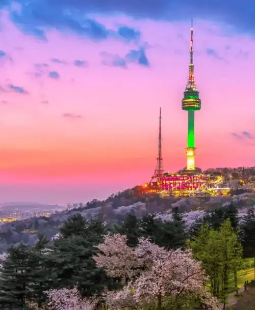 13韩国】首团爆满,加开第二团!小圆圆邀你首尔city walk!