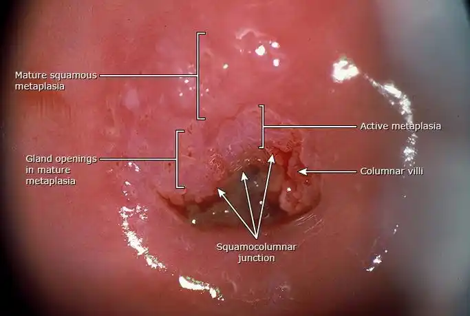 7个你以为的大病其实只是小问题