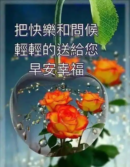 漂亮的早上好祝福表情问候图片带字特别温馨早安祝福问候语句精选
