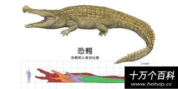 史前海洋十大霸主旋齿鲨超强咬合力海洋中称霸