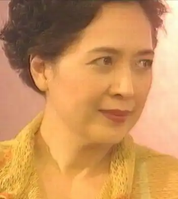 宝咏琴其他人物相关