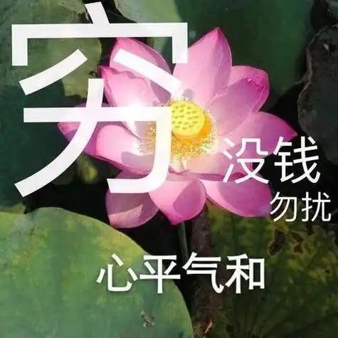 莲花头像带字与世无争 带字头像图片大全 -【爱个性】