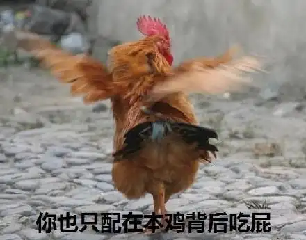 鸡快速奔跑的表情包