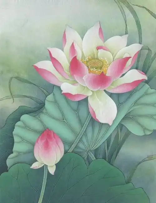 简单教程——工笔画荷花入门详解