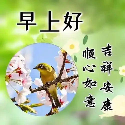 最新版最漂亮的早上好短语句子,早上好吉祥图_祝福_生活_身体